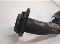 4067874, XM345A212BC Труба приемная глушителя Ford Ranger 1998-2006 20628220 #2