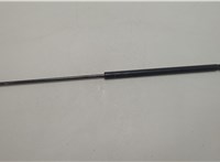bc3416c827ac Амортизатор капота Ford F-250 2010-2016 20635951 #1