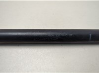 bc3416c827ac Амортизатор капота Ford F-250 2010-2016 20635951 #2