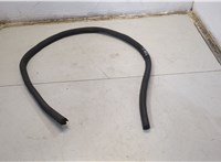 3C8867911 Уплотнитель Volkswagen Passat CC 2012-2017 20639325 #1