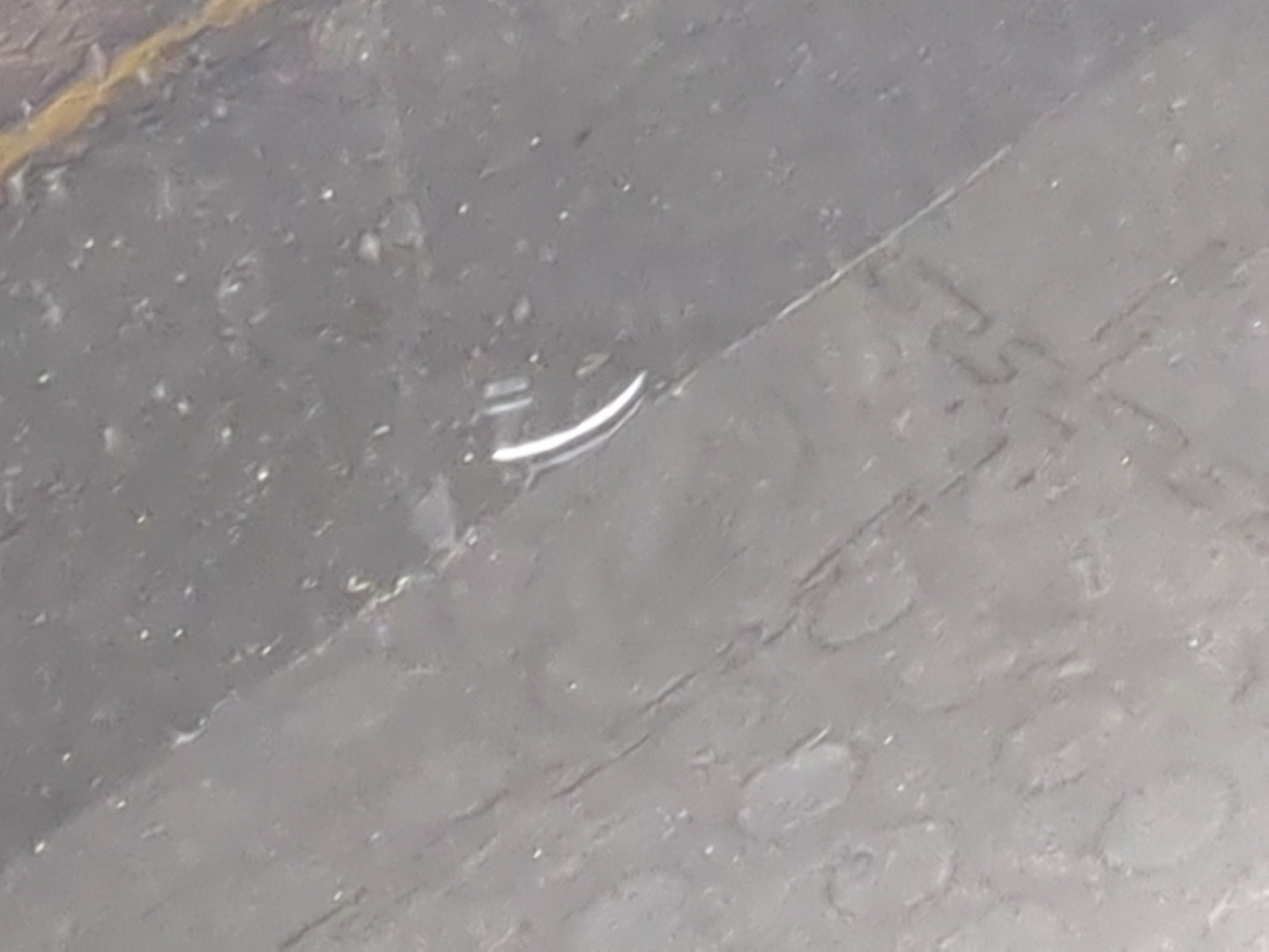 Дверь передняя левая