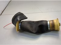 37126790079, 6790079 Пневмоподушка BMW X5 E70 2006-2013 20647462 #1