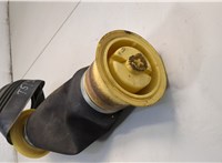 37126790079, 6790079 Пневмоподушка BMW X5 E70 2006-2013 20647462 #2