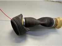 37126790079, 6790079 Пневмоподушка BMW X5 E70 2006-2013 20647462 #3