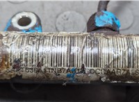  Рампа (рейка) топливная LDV (DAF) Maxus 2004-2008 20658168 #2