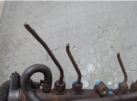  Рампа (рейка) топливная LDV (DAF) Maxus 2004-2008 20658168 #4