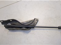 791203S000 Петля капота Hyundai Sonata 6 YF 2009-2014 20659077 #1