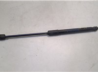 51239883421 Амортизатор капота BMW X1 U11, U12 2022-2025 20659237 #1