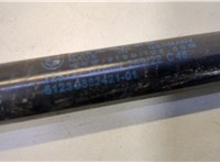 51239883421 Амортизатор капота BMW X1 U11, U12 2022-2025 20659237 #2