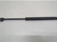 65471CG80A Амортизатор капота Infiniti FX 2002-2009 20659685 #2