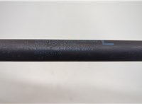 65471CG80A Амортизатор капота Infiniti FX 2002-2009 20659685 #3