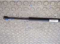 65471CG80A Амортизатор капота Infiniti FX 2002-2009 20659685 #4