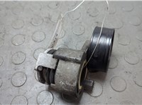 117503662R Натяжитель приводного ремня Renault Kangoo 2008-2013 20660710 #1