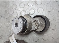 117503662R Натяжитель приводного ремня Renault Kangoo 2008-2013 20660710 #3