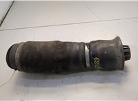 A1663200325 Пневмоподушка Mercedes GL X164 2006-2012 20660988 #1