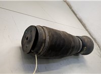 A1663200325 Пневмоподушка Mercedes GL X164 2006-2012 20660988 #4