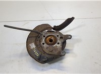 43202JG21A Ступица (кулак, цапфа) Nissan X-Trail (T31) 2007-2015 20661527 #1