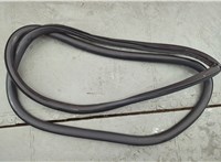 6000627086 Уплотнитель Alfa Romeo Stelvio 2016-2025 20662145 #1