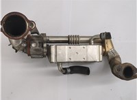 R2AA20304 Охладитель отработанных газов Mazda 6 (GH) 2007-2012 20663680 #2