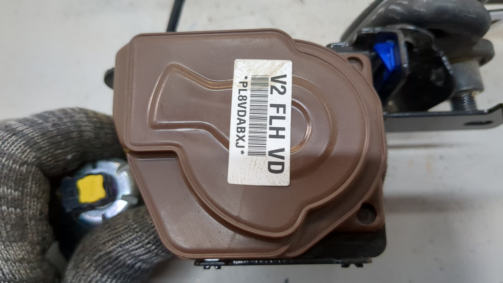 Ремень безопасности