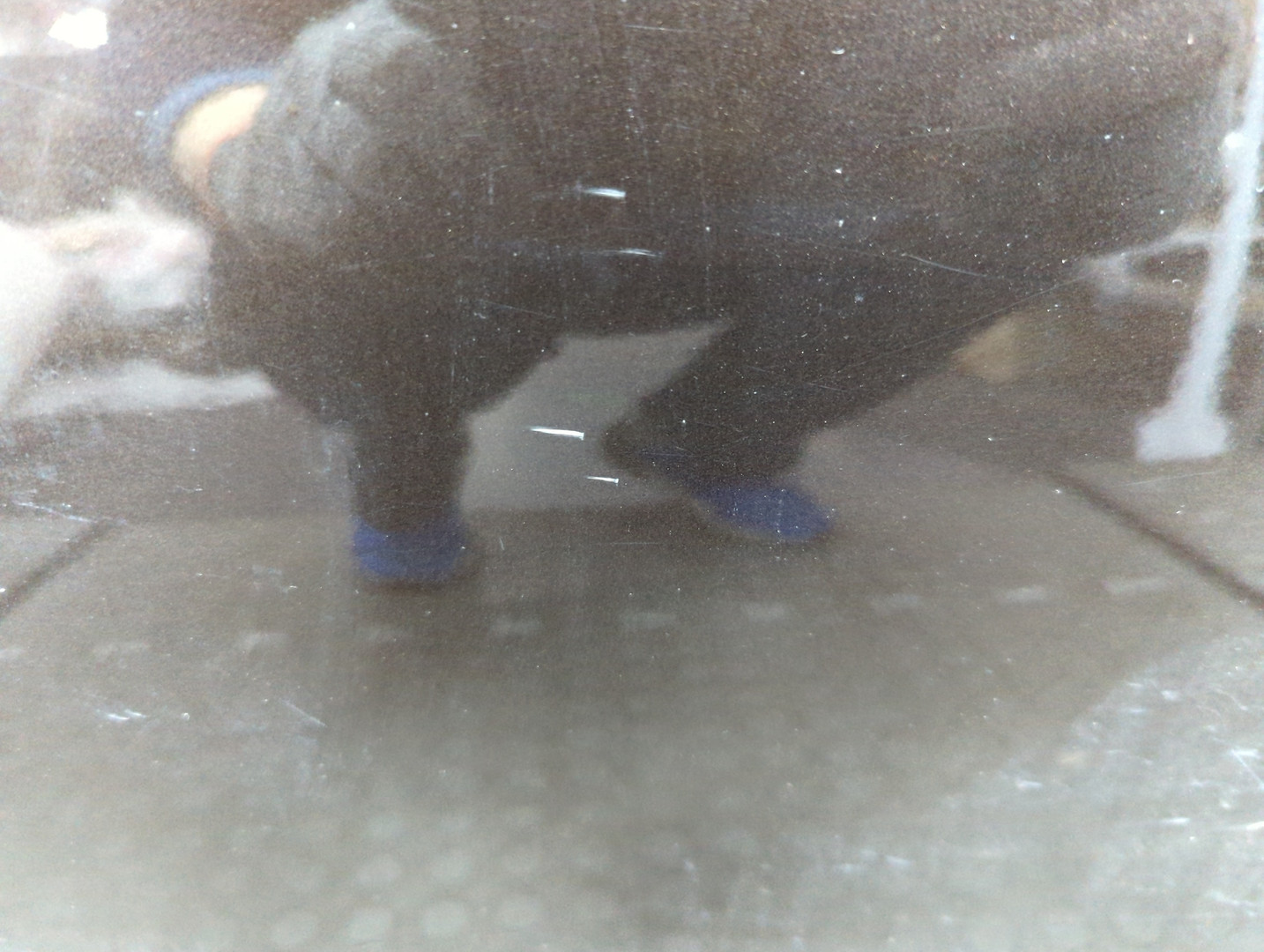 Дверь задняя левая