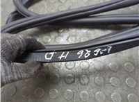 5NN867914A Уплотнитель Volkswagen Tiguan 2016-2021 20667392 #4