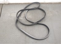 6231208020B0 Уплотнитель Toyota Sienna 3 2010-2020 20667638 #1