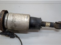 8L1418080 Амортизатор подвески Lincoln Navigator 2006-2014 20667971 #1