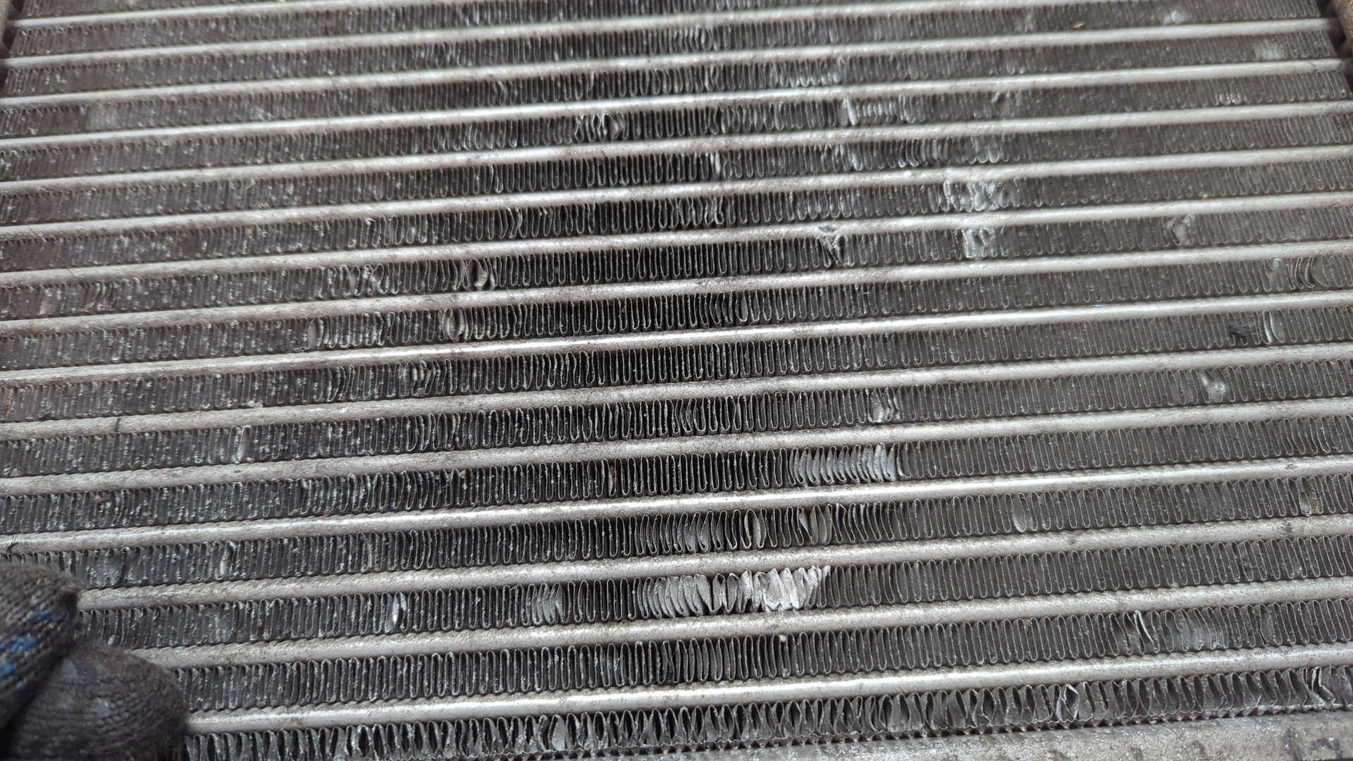 Интеркулер