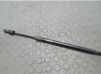 2L147842104AE Амортизатор стекла багажника Lincoln Navigator 2002-2006 20668159 #1