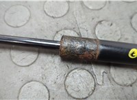 2L147842104AE Амортизатор стекла багажника Lincoln Navigator 2002-2006 20668159 #2