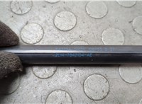 2L147842104AE Амортизатор стекла багажника Lincoln Navigator 2002-2006 20668159 #3