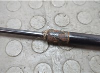 2L147842105AB Амортизатор стекла багажника Lincoln Navigator 2002-2006 20668160 #2