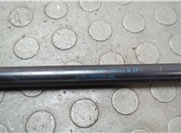 2L147842105AB Амортизатор стекла багажника Lincoln Navigator 2002-2006 20668160 #3