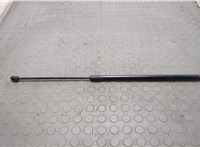 3CN823359 Амортизатор капота Volkswagen Atlas Cross Sport 2019- 20668201 #1