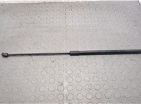 5NA823359A Амортизатор капота Volkswagen Tiguan 2016-2020 20668205 #1