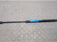 2L7Z16C826AA Амортизатор капота Lincoln Navigator 2002-2006 20668206 #1