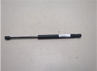 25794897 Амортизатор капота Hummer H3 20668212 #3