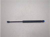 25794897 Амортизатор капота Hummer H3 20668212 #4