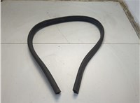 3CM823723 Уплотнитель Volkswagen Atlas Cross Sport 2019-2025 20668473 #1