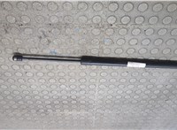 1L2Z16C826AA Амортизатор капота Ford Explorer 2001-2006 20672223 #3