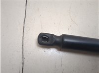 1L2Z16C826AA Амортизатор капота Ford Explorer 2001-2006 20672223 #5