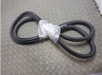 13228132 Уплотнитель Buick Regal 2009-2017 20672295 #2