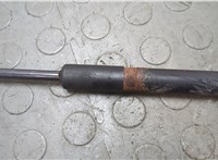 13252173 Амортизатор капота Buick Regal 2009-2017 20673888 #2