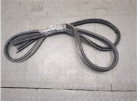 5076822AD Уплотнитель Dodge Journey 2011-2020 20674091 #1
