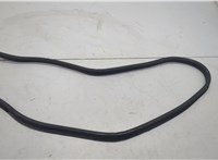 66870CG000 Уплотнитель Infiniti FX 2002-2009 20675410 #1