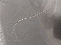 681010C040 Стекло боковой двери Toyota Sequoia 2008- 11542104 #15