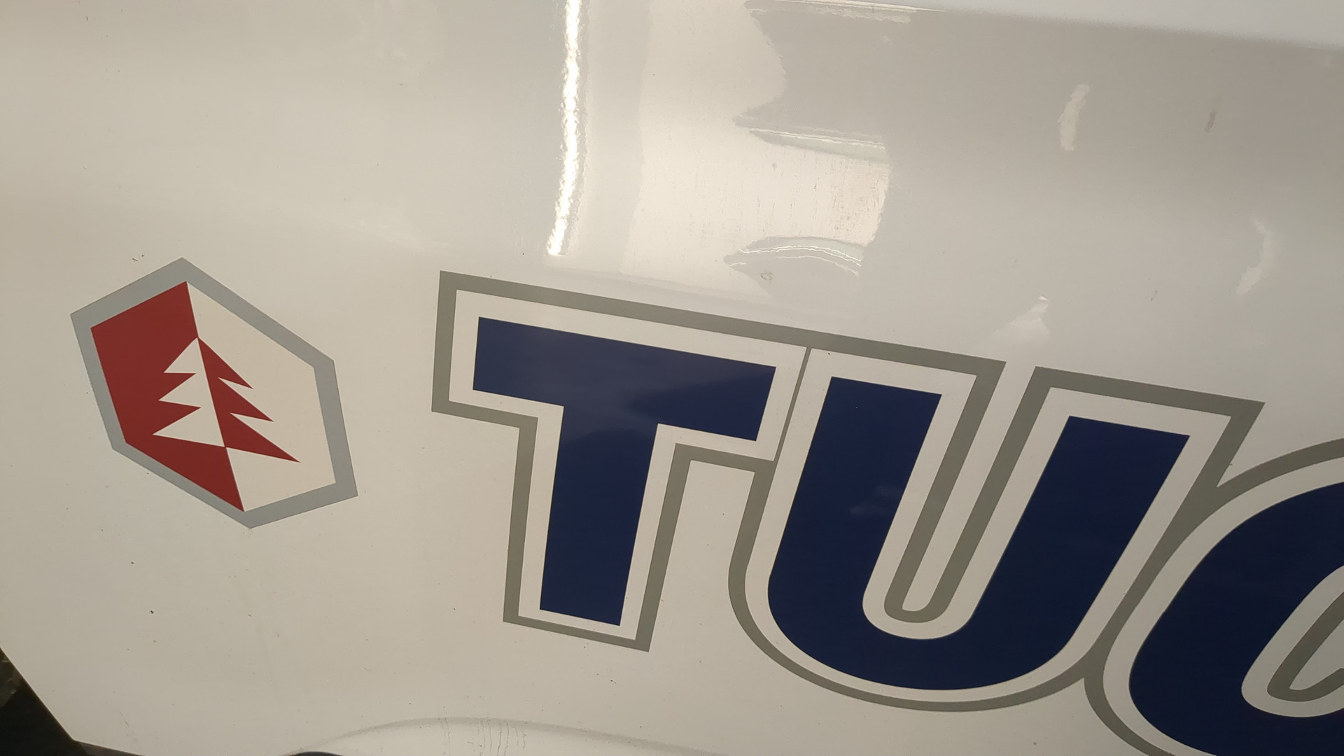 Дверь передняя левая