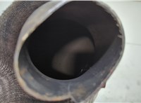 A2224906910, A2224903836 Катализатор Mercedes S W222 2013-2020 20678491 #3