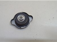 21430D991A Пробка расширительного бачка Infiniti QX60 2013-2020 20679625 #2